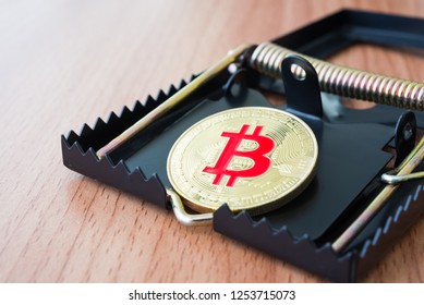 Investment Or Trading In BTC Has Risk, Some Country Is Illegal. Bitcoin Is A Form Of Electronic Cash In Rat Or Mouse Trap. Blockchain Technology, Online Digital Money, E-wallet, Cryptocurrency Concept