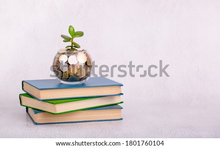 Investment in training. Piggy bank of a vase with coins and a plant sprout as a concept of investment and long-term revenue growth. Accumulated money for university entrance to college or to courses.