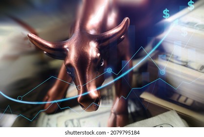 Investments Growing In Equity Over Bull Market Run