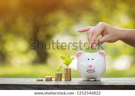 Investor hand hold a gold coin save in the piggy bank and plant growing with savings money on sunlight in the public park, Business investment and economical money concept.