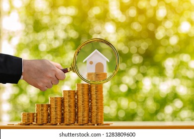 

Investor hand hold a magnifier with searching for new home and a stack gold coin growing in the public park, Loan for real estate or saving money for buy a new house to family in the future concept.