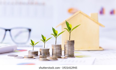 Investor of real estate.  The plants growing on money coin stack for investment home green nature background.   Investment mortgage fund finance and interest rate home loan.  Investment Concept - Shutterstock ID 1921412945