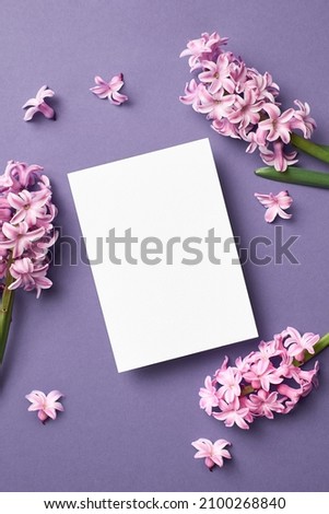 Invitation or greeting card mockup with fresh pink hyacinth flowers on purple background