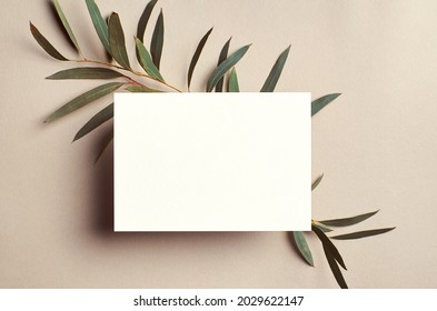 Invitation Or Greeting Card Mockup With Natural Eucalyptus Twigs Frame. Blank Card Mockup On Beige Background.