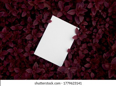 Invitation Mockup. Top view blank card on dark red leaves background with clipping path.