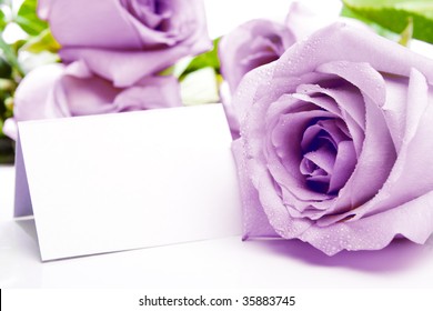 Invitation Or Visiting Card With Purple Roses