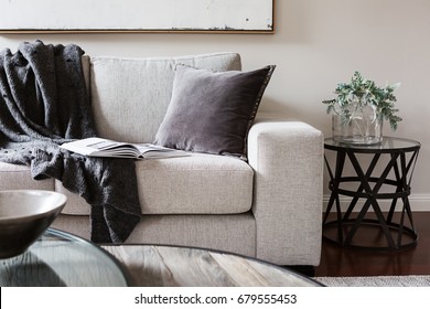 Inviting Comfortable Sofa With Throw Rug And Magazine