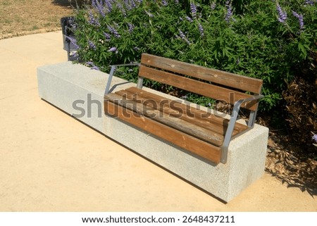 An inviting, empty public seating area surrounded by lush blooming lavender, perfect for relaxation in a city park.