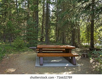 Inviting Picnic table in the forest