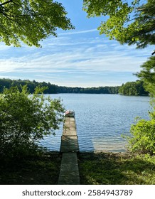 Inviting wooden dock leads to a tranquil lake surrounded by lush green trees under a clear blue sky, showcasing a serene view of rural Michigan. A single pink kayak rests on the dock, adding a charmin