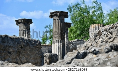 Ionic Columns, Partially Reconstructed, in Background Focus, Pompeii