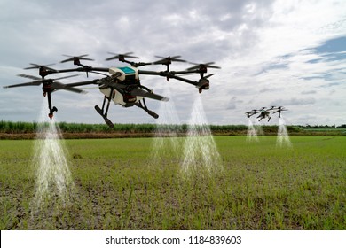 iot smart agriculture industry 4.0 concept, drone (in precision farm) use for spray a water, fertilizer or chemical to the field, farm for growth a yields,crops, use for control, kill the bug or weed 