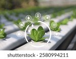 IOT smart farmer concept, Modern technology for sustainable practices, wiht intelligent AI digital farm to control planting. Precision agriculture, Climate monitoring, Farm management system.