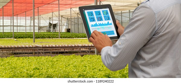 iot smart industry robot 4.0 agriculture concept,industrial agronomist,farmer using tablet to monitor, control the condition in vertical or indoor farm ,the data including Ph, Temp, Ic, humidity, co2 