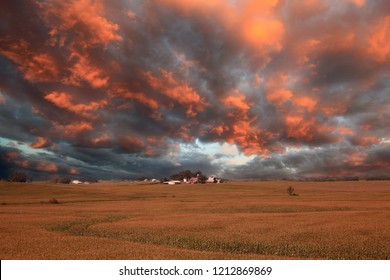 Iowa Corn Field Sunset