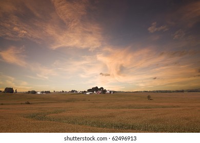 Iowa Corn Field Sunset.