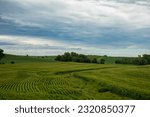 Iowa countryside under dark clouds.  Rolling fields of green crops with a green clearing reaching through the fields. 