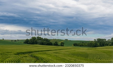 Iowa countryside under dark clouds.  Rolling fields of green crops with a green clearing reaching through the fields. 