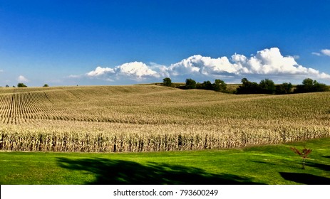Iowa Landscape In Tama County