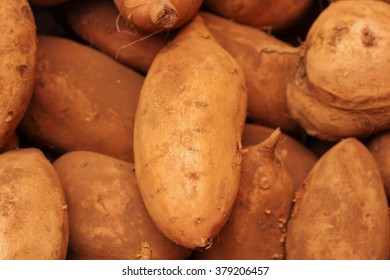 Ipomaea Batatos Lam - Sweet Potatoes In The Market.