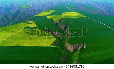 Iran meadow mountains nature beauty green gorge