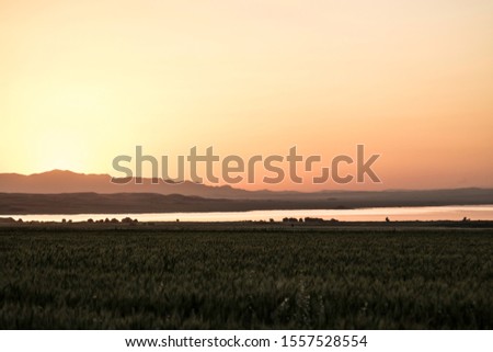 Similar – in Südafrika Naturreservat Teichsee und Busch