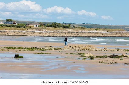 Ireland 2022-08-31  Lone Female Figure Walking On The Beach At Ardmore, County Waterford At Low Tide.