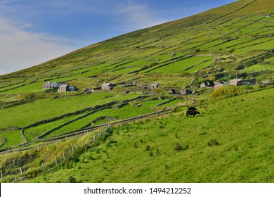 Ireland Country Side On Wild Atlantic Way