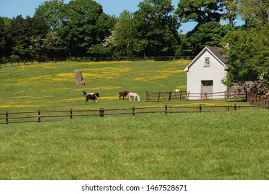 Ireland Country Side, Summer Days.