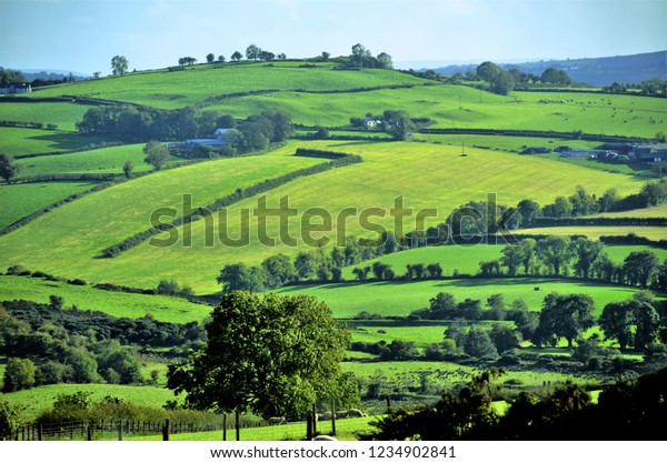 Ireland\
countryside in the fall, lovely green\
pastures.