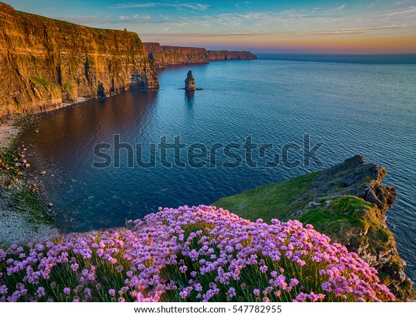 Ireland countryside tourist attraction in County Clare.\
The Cliffs of Moher and castle Ireland. Epic Irish Landscape UNESCO\
Global Geopark  along the wild atlantic way. Beautiful scenic\
nature hdr 