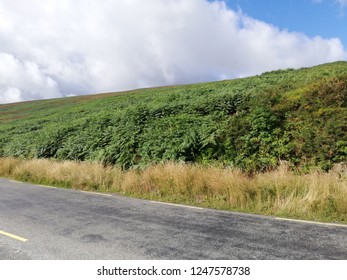 Ireland: Going On A Lonely Road, Sideview. Cloudy Sky