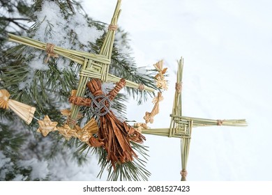 ireland handmade amulet from straw, magic witchcraft doll on snowy pine tree. Brigid's cross - symbol of Imbolc sabbat. Wiccan tradition for blessed, protection. spring-winter pagan festive ritual