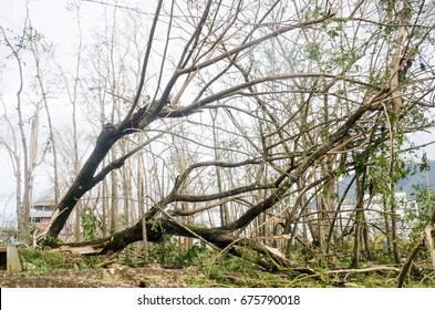 Iriga City, Philippines - December 2016: Typhoon Nina Aftermath 