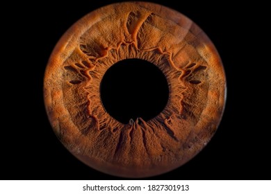 Iris - Close-up Of Human Eye (macro Photography)