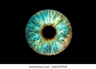  iris colorful wonders of the human body close-up photo - Powered by Shutterstock