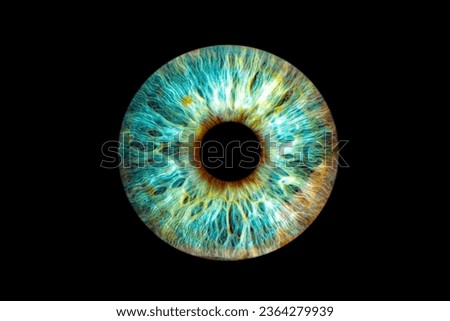  iris colorful wonders of the human body close-up photo
