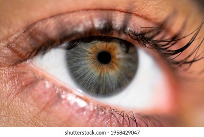 Iris Eye Close Up Macro Shot 