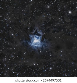 Iris Nebula Deep Space Image Astrophoto Dusclouds Cepheus