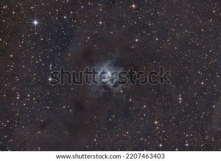 Iris Nebula NGC 7023 from backyard