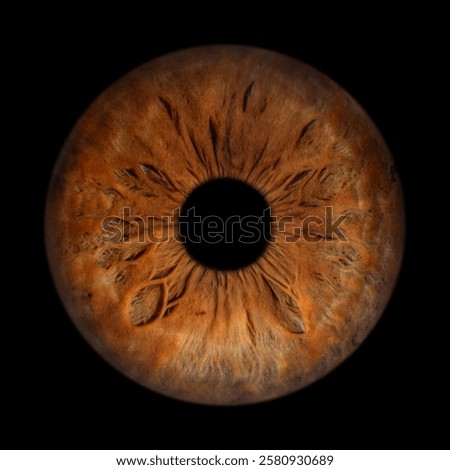 Iris Photography - Simple Singularity#13