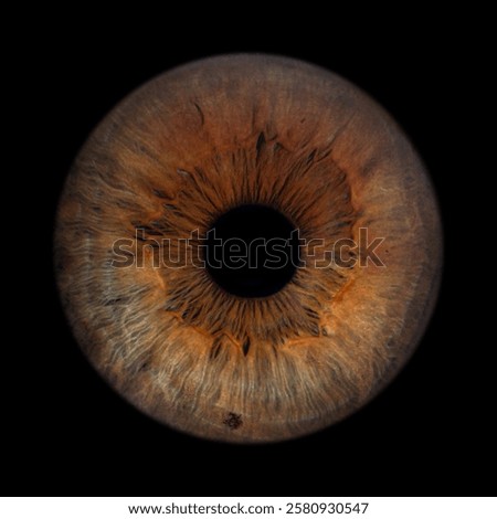Iris Photography - Simple Singularity#15