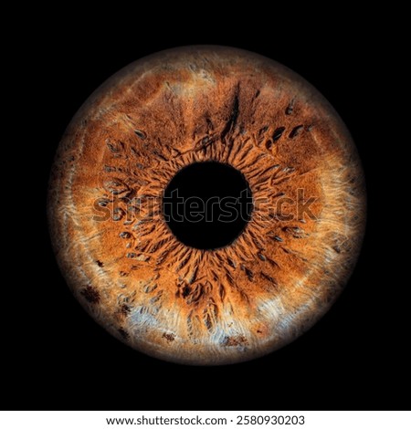 Iris Photography - Simple Singularity#18