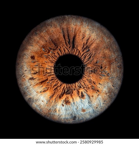 Iris Photography - Simple Singularity#19