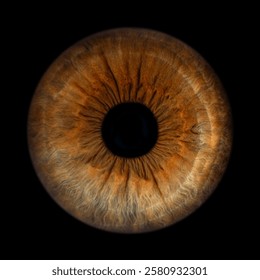 Iris Photography - Simple Singularity#2