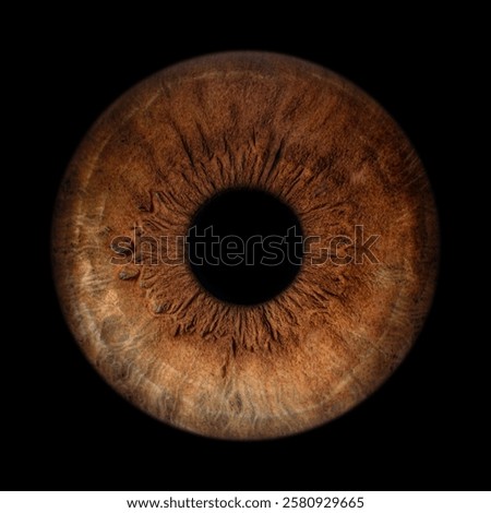 Iris Photography - Simple Singularity#22
