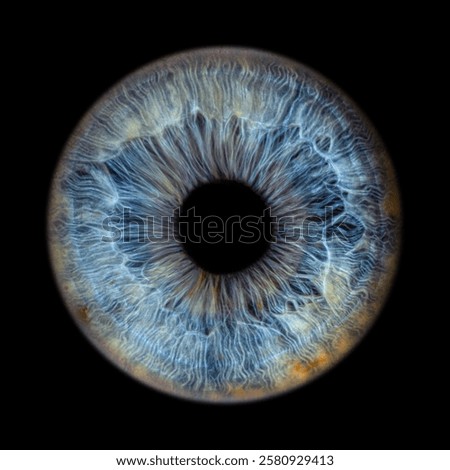 Iris Photography - Simple Singularity#24