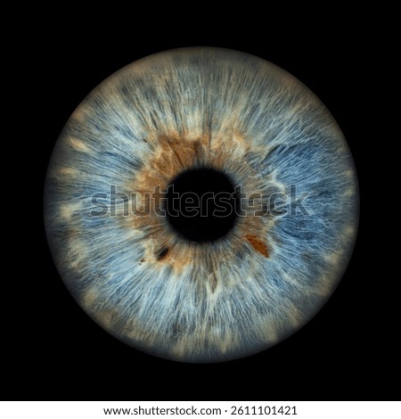 Iris Photography - Simple Singularity#27