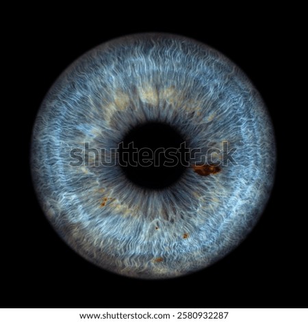 Iris Photography - Simple Singularity#3