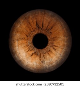 Iris Photography - Simple Singularity#4